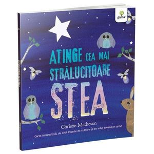 Atinge cea mai stralucitoare stea, Christie Matheson imagine