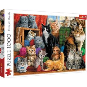 Puzzle 1000 trefl intalnirea pisicutelor imagine