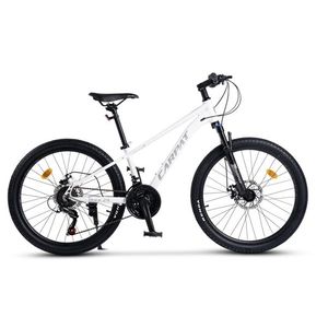 Bicicleta pentru copii MTB-HT Carpat Pro Teen C24472A Albgri, roti 24 inch, cadru aluminiu, 21 viteze, echipare Shimano, frane disc mecanice, cabluri integrate imagine