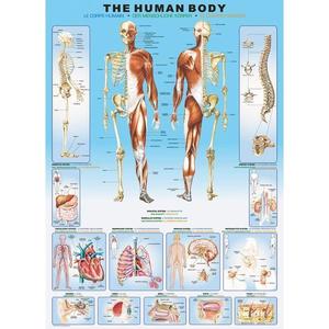 Puzzle 1000 piese The Human Body imagine