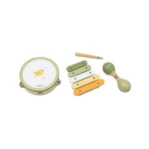 Set de instrumente muzicale, Viga, PolarB, Pasari imagine