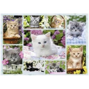 Puzzle Pisicute In Cos, 500 Piese imagine
