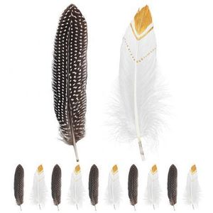 Pene indian 12 buc imagine