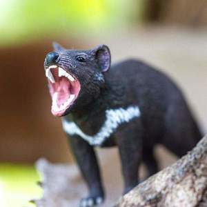 Figurina - Diavol Tasmanian | Safari imagine