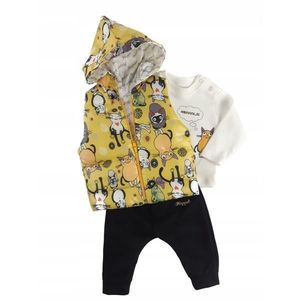 Set compleu haine copii, format din bluza, vesta si pantaloni - Model Yellow cats, marime 80 imagine