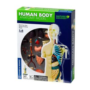 Set educativ STEM - Anatomia corpului uman imagine