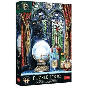 Puzzle 1000. Ucenicul vrajitoarei imagine