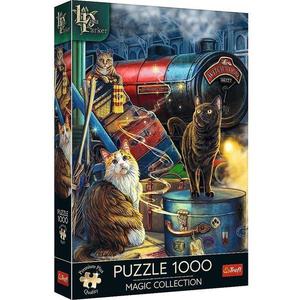 Puzzle 1000: Expresul vrajitor imagine