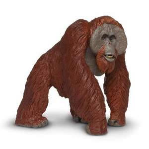 Figurina - Urangutan de Borneo | Safari imagine