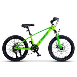 Bicicleta pentru copii MTB Carpat Hiro C20342A Verde, roti 20 inch, inaltime utilizator 120-155 cm, greutate suportata 80 kg imagine
