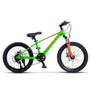 Bicicleta pentru copii MTB Carpat Hiro C20342A VerdePortocaliu, roti 20 inch, inaltime utilizator 120-155 cm, greutate suportata 80 kg imagine