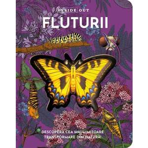 Fluturii, model 3D imagine