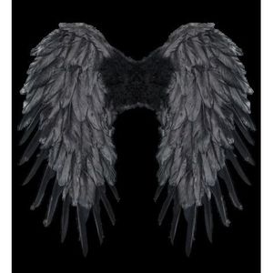 Aripi negre 50cmx50 cm imagine