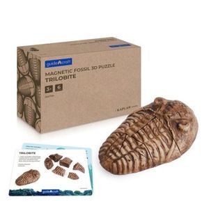 Fosile Trilobit, set magnetic 3D, Guidecraft imagine