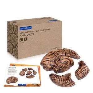 Fosile Ammonite, set magnetic 3D, Guidecraft imagine