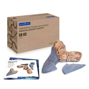 Dinte Megalodon, set magnetic 3D, Guidecraft imagine