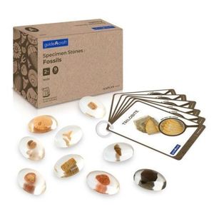 Specimen Stones, pietre din acril cu fosile imagine