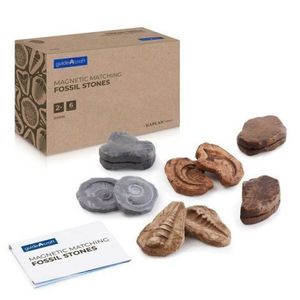 Fosile magnetice, set 6 perechi, Guidecraft imagine