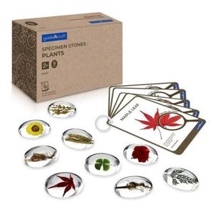 Specimen Stones, pietre din acril cu plante, Guidecraft imagine