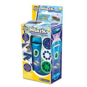 Proiector tip lanterna - rechini periculosi imagine