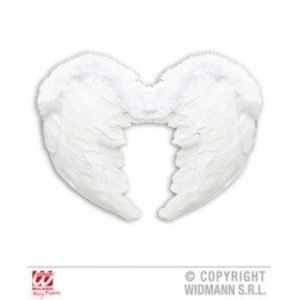 Aripi inger pene imagine