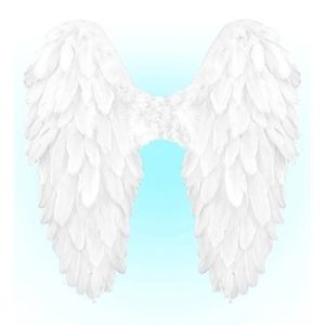 Aripi inger pene albe imagine