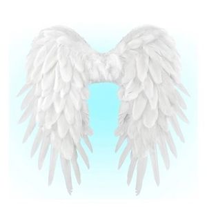 Aripi inger pene albe imagine