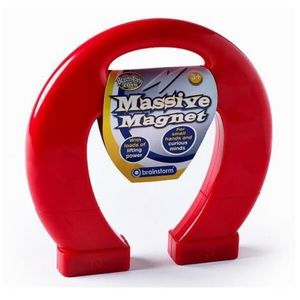 Magnet gigant imagine