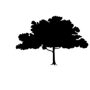 Tabla Scolara sub Forma de Autocolant pentru Scris cu Creta, Copac Mare, Negru, 120 x 80 cm imagine