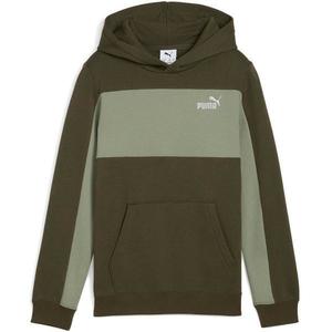 Hanorac copii Puma Ess Block Small Logo Hoodie 69078470, 176, Verde imagine