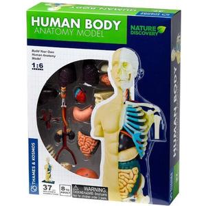 Set educativ Stem: Anatomia corpului imagine
