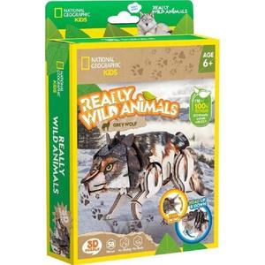 Puzzle 3D. Lup Cenusiu imagine