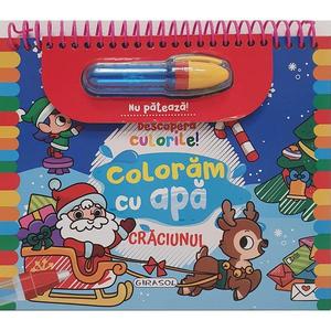 Descopera culorile! Craciunul imagine