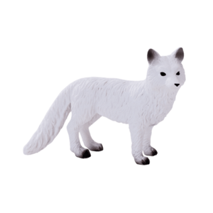 Lumea animalelor salbatice imagine