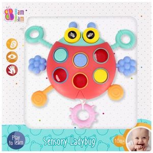 Jucarie senzoriala, BamBam, Buburuza imagine