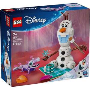 LEGO® Disney Princess - Distractie la picnic cu Olaf si Bruni (43287) imagine