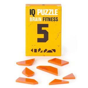 Joc de logica - Brain Fitness - Number 5 | IQ Puzzle imagine