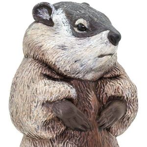 Conserve de peste imagine