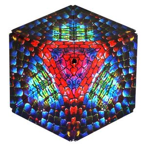 Puzzle 3D - Shashibo - Chameleon | Fun In Motion Toys imagine