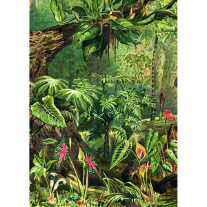 Puzzle 1000 de piese - The Dybdahl Co. - Jungle | Kiub imagine