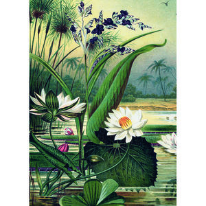 Puzzle 1000 de piese - The Dybdahl Co. - Water Lilies | Kiub imagine