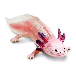 Figurina - Amfibie - Axolotl | Safari imagine