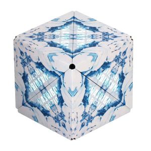 Puzzle 3D - Shashibo - Arctic | Fun In Motion Toys imagine