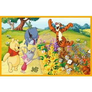 Puzzle 2 in 1 - Zi de joaca cu Winnie si prietenii | Trefl imagine