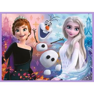 Puzzle 2 in 1 - Disney - Frozen - Printesele si taramul lor | Trefl imagine
