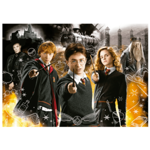 Puzzle 1000 piese - Harry Potter - Neon - Model 1 | Educa imagine