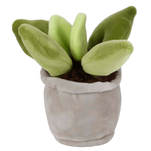 Jucarie de plus - Planta suculenta in ghiveci | Take Me Home imagine