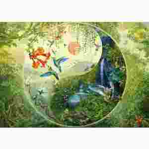 Puzzle 1000 piese - Yin & Yang - In padurea colibri | Schmidt imagine