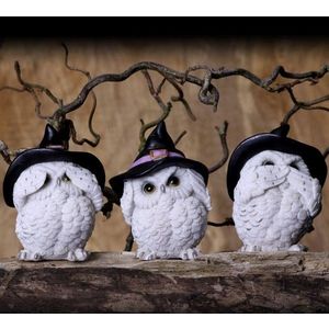 Figurina - Three Wise Feathered Familiars - See No Evil | Nemesis Now imagine