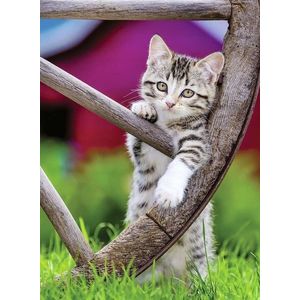 PUZZLE PISICUTE, 500 PIESE imagine